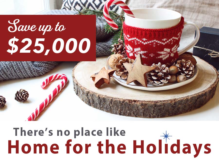 Home for the Holidays Sales Promotion